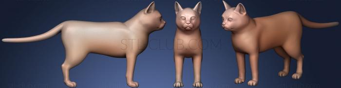 3D модель База Cat (STL)